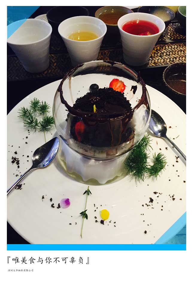 2015年第十二屆上海模型展，大華參展！